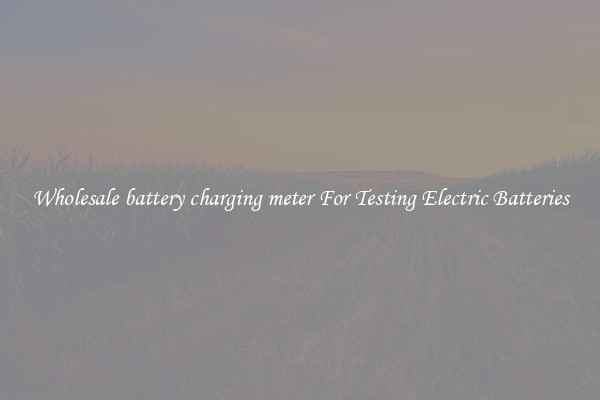 Wholesale battery charging meter For Testing Electric Batteries