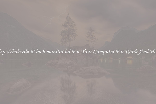 Crisp Wholesale 65inch monitor hd For Your Computer For Work And Home