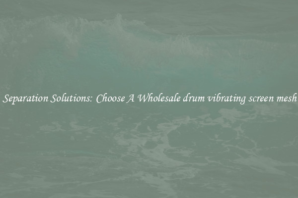 Separation Solutions: Choose A Wholesale drum vibrating screen mesh