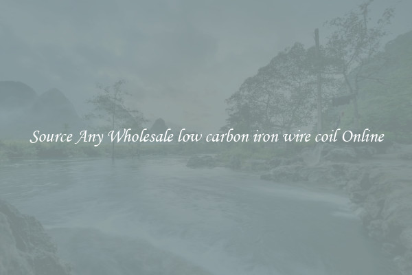 Source Any Wholesale low carbon iron wire coil Online