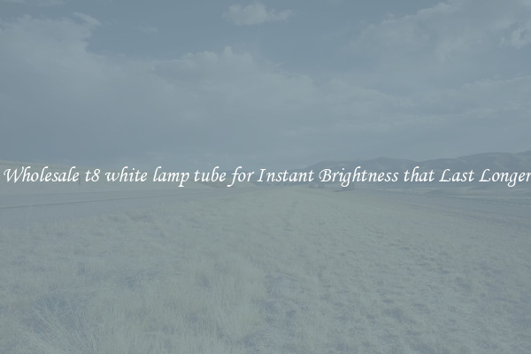 Wholesale t8 white lamp tube for Instant Brightness that Last Longer