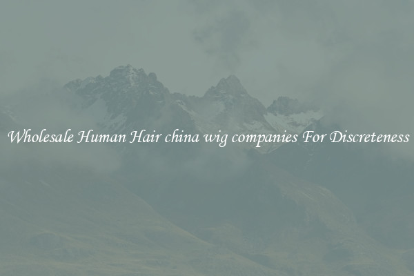 Wholesale Human Hair china wig companies For Discreteness