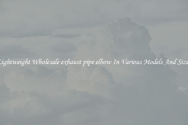Lightweight Wholesale exhaust pipe elbow In Various Models And Sizes