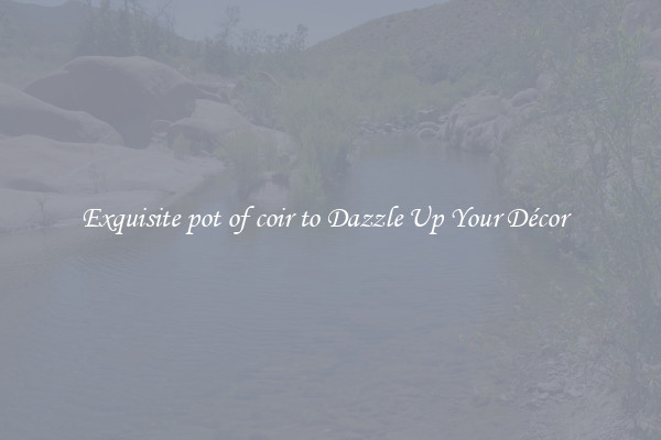 Exquisite pot of coir to Dazzle Up Your Décor  