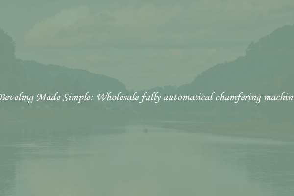 Beveling Made Simple: Wholesale fully automatical chamfering machine