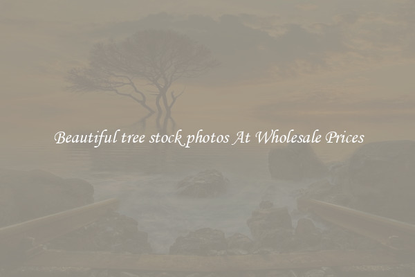 Beautiful tree stock photos At Wholesale Prices