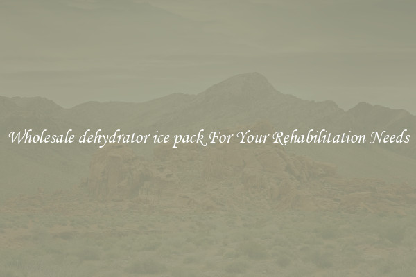 Wholesale dehydrator ice pack For Your Rehabilitation Needs