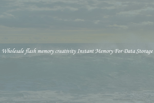 Wholesale flash memory creativity Instant Memory For Data Storage