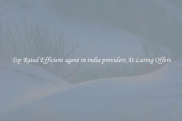 Top Rated Efficient agent in india providers At Luring Offers
