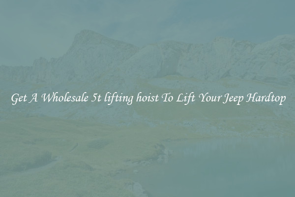 Get A Wholesale 5t lifting hoist To Lift Your Jeep Hardtop