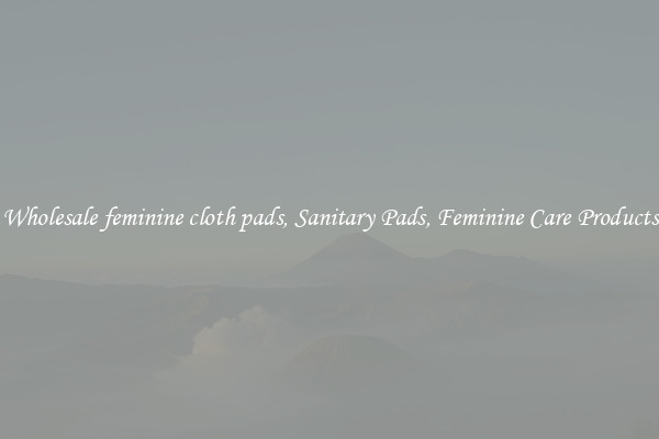 Wholesale feminine cloth pads, Sanitary Pads, Feminine Care Products
