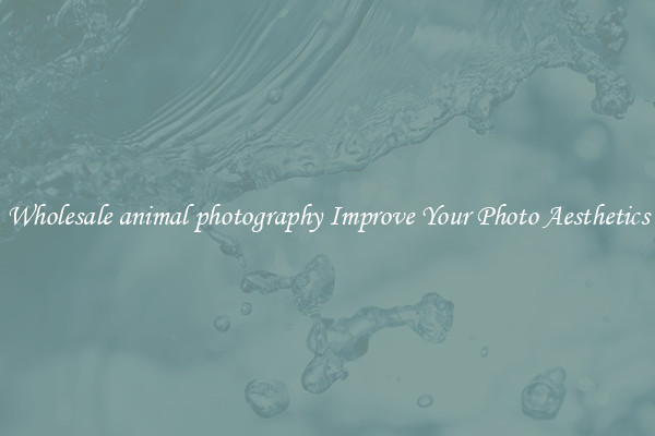 Wholesale animal photography Improve Your Photo Aesthetics