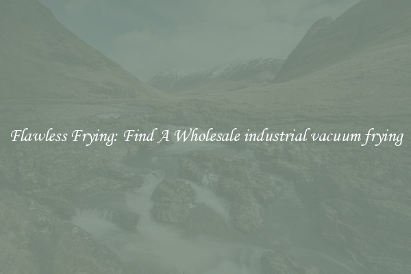 Flawless Frying: Find A Wholesale industrial vacuum frying