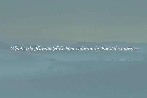 Wholesale Human Hair two colors wig For Discreteness