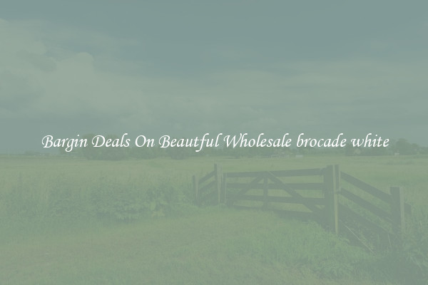 Bargin Deals On Beautful Wholesale brocade white