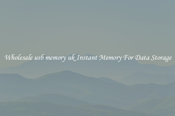 Wholesale usb memory uk Instant Memory For Data Storage