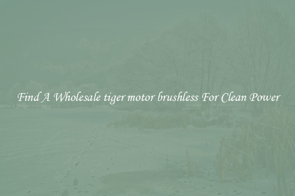Find A Wholesale tiger motor brushless For Clean Power