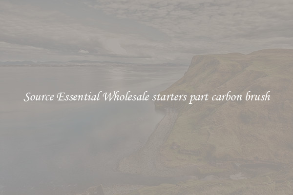 Source Essential Wholesale starters part carbon brush