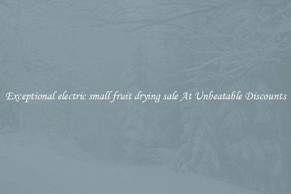 Exceptional electric small fruit drying sale At Unbeatable Discounts