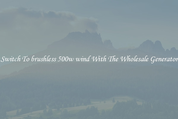 Switch To brushless 500w wind With The Wholesale Generator