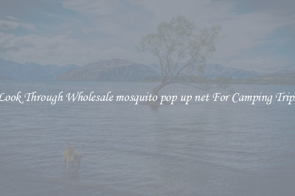 Look Through Wholesale mosquito pop up net For Camping Trips
