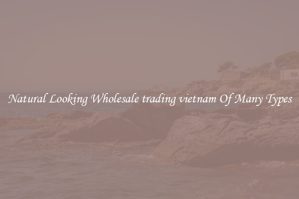 Natural Looking Wholesale trading vietnam Of Many Types