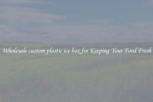 Wholesale custom plastic ice box for Keeping Your Food Fresh
