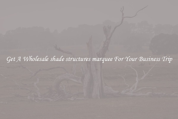 Get A Wholesale shade structures marquee For Your Business Trip
