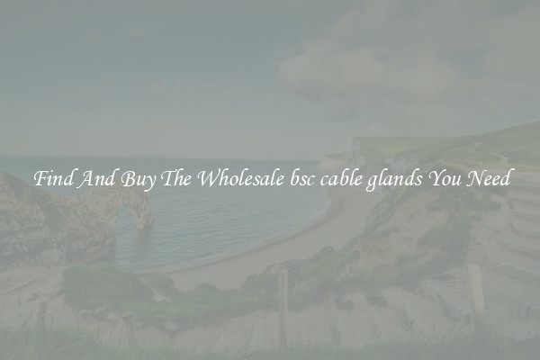 Find And Buy The Wholesale bsc cable glands You Need